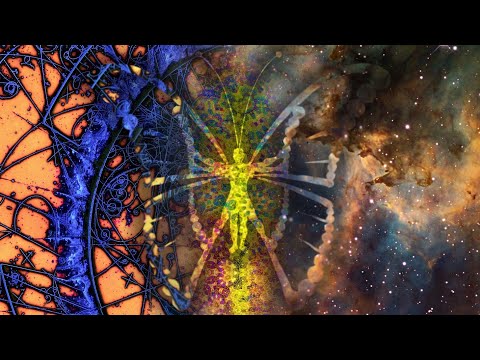 A Living Singularity - The Solution to the Quantum Enigma (2020)