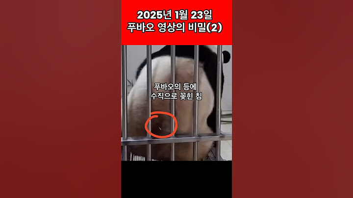 푸바오 영상의 비밀(2):2025년 1월 23일의 영상:#fubao #福宝
