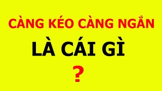 Nhũng câu đố nghĩ cả ngày không ra đáp án