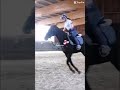 Home Love it #horse #home