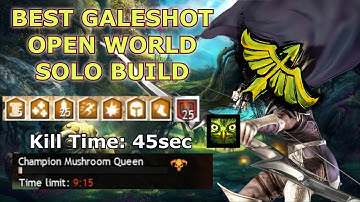 Guild Wars 2 : Best Galeshot Open World Solo Build