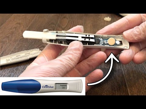 What’s inside a POSITIVE pregnancy test?