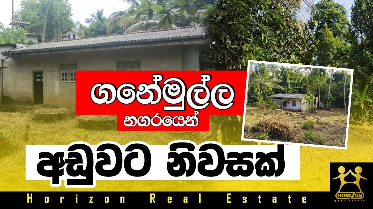 House For Sale In Ganemulla Land For Sale Horizon Real Estate