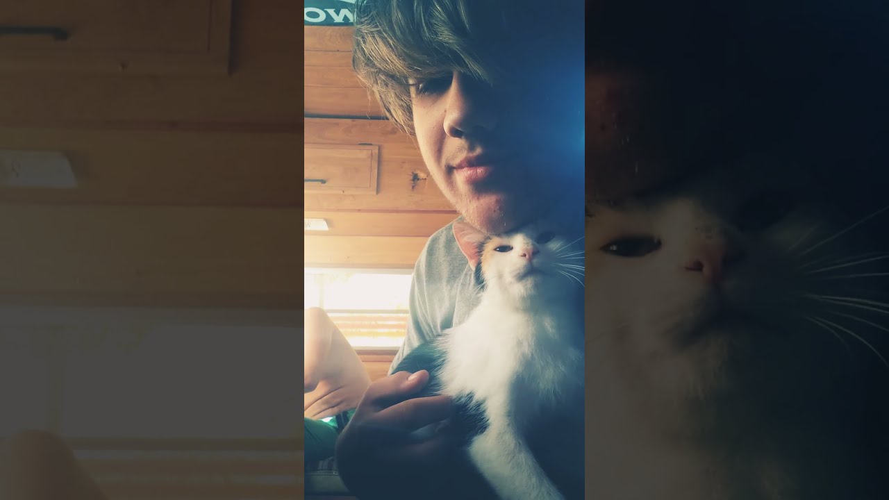 Wake N' Bake Smoke Sesh