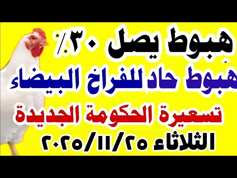 اسعار الفراخ البيضاء اليوم سعر الفراخ البيضاء اليوم الثلاثاء 2025 11 25 في مصر جمله وقطاعي