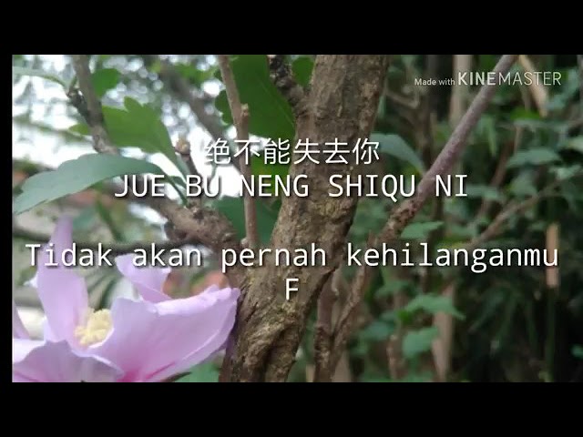 F4 - JUE BU NENG SHI QU NI class=