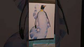a colorpencil  of a surreal penguin 🐧 #shorts #art#colorpencil #drawing #penguin #holimp