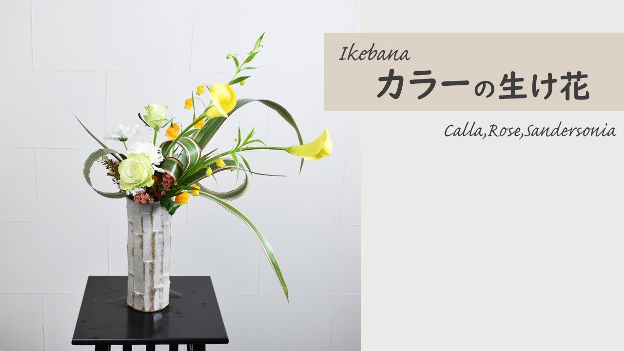 【カラーの生け花】 初心者でもコツが分かればとっても簡単！ 生け方の基本からアレンジまでサクッと紹介。 ikebana style class ...