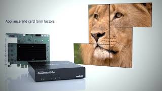 Matrox - QuadHead2Go Series