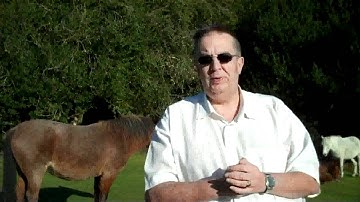 Software Design and Development - M1 Overview