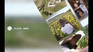 44 1855 年 波尔多酒庄分级制度