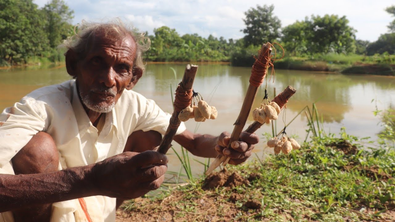 New baiting method || দাদু শেখালো এভাবে টোপ দিলে মাছ পাওয়া নিশ্চিত ...