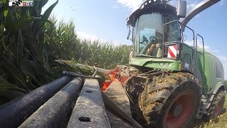 FENDT KATANA 85 - TEST ON FIELD - CHOPPING CORN