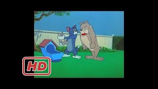 सबसे अच्छा अजीब कार्टून टॉम और जेरी २०१७ पूर्ण एपिसोड  टॉम और जेरी, ८२ एपिसोड-Hic कप पिल्ला (१९५४)