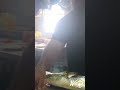 W&R Short: Island Kitchen 🇩🇴
