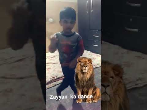 Zayyan Nay Kia Dance 
