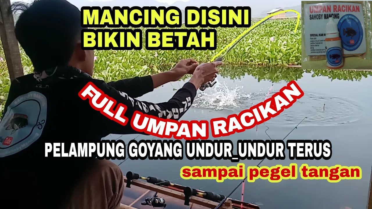 TRIK MANCING PAKAI UMPAN PELET ATAU GELENG DI LAPAK # UMPAN PELET UNTUK