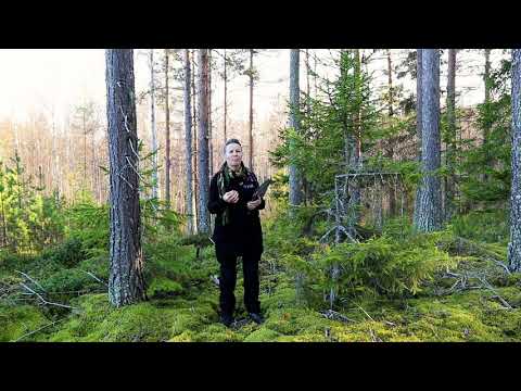 Video: Mitkä ovat 14 hyvettä?