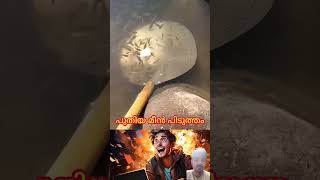 Httpsyoutubecomshortsdvjl6hwimyosie2zhzznkomyzuq