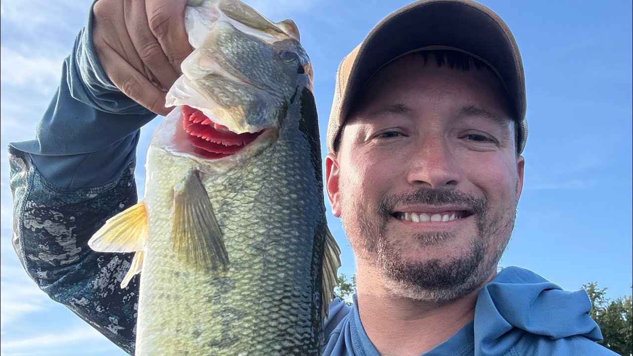 Bass fishing Wilson lake August 2025 caught a lot of fish.