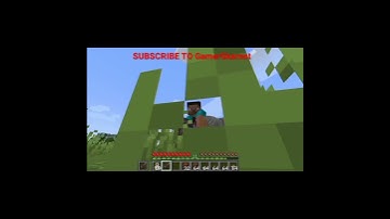 Minecraft Duplication Glitch For 1.17 Java User That Will Work with Any Object In Minecraft