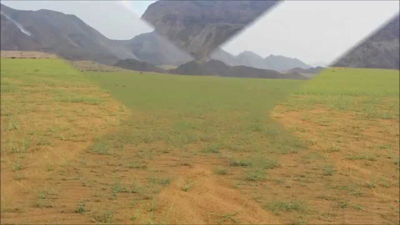 مناظر من خبت شيع الشق القنفذة القوز وادي حلي