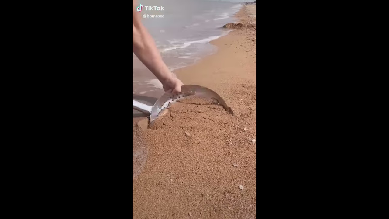 How To Find Crabs At The Beach