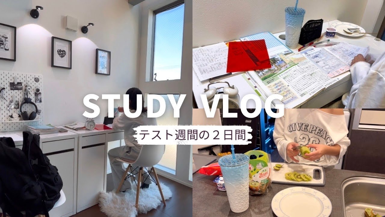 【勉強vlog】テスト週間の2日間📚