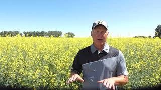 Agronomy Minute - Weed Resistance