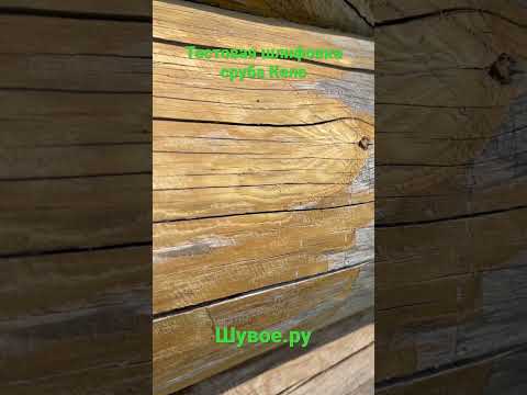 Шлифовка стен сруба из полярной сосны Кело. Зеркальная шлифовка.