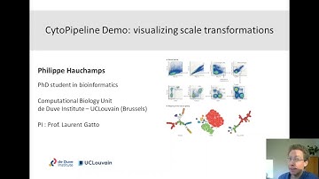 CytoPipeline: visualizing scale transformations
