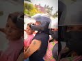 உயிரின் உயிரே 🫀#love #travel #shorts #trending #reels #status #music#song #instagram #youtubeshorts