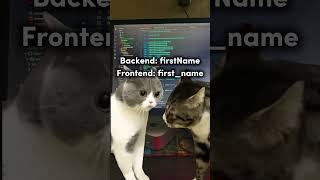 Backend vs Frontend