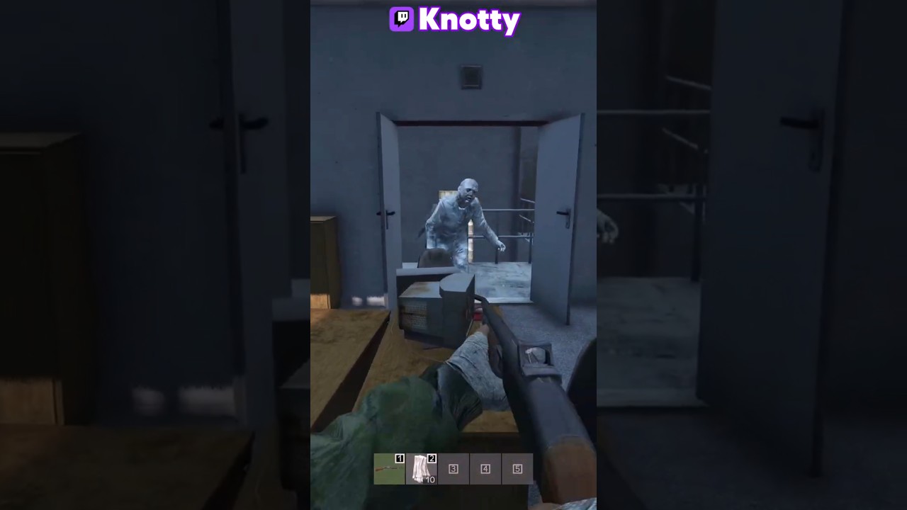This REALLY Is DayZ's most HARDCORE server