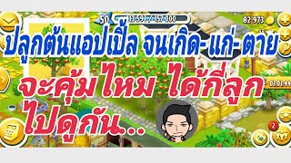 Hayday รีวิวการ ปลูกต้นแอปเปิ้ล ตั้งแต่ต้นจนจบ จะได้แอปเปิ้ลกี่ลูก มาดูกันครับ