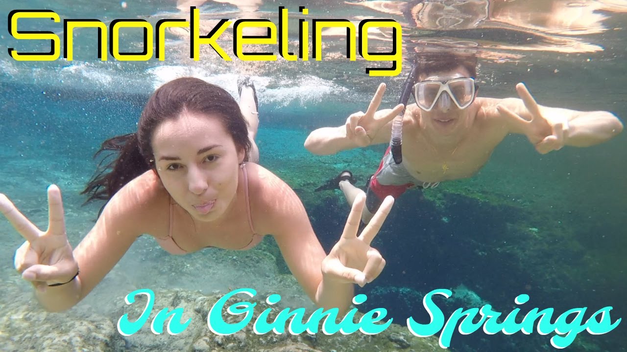 Snorkeling In Ginnie Springs YouTube