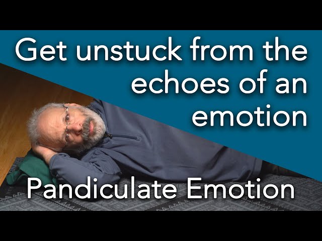 Pandiculate EMOTION | Get unstuck from the echo of emotion, Somatics for a More Relaxed, Joyful Life