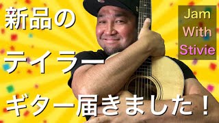 ついに新しいギター届きました！「 Taylor 317 V-Class 」めちゃくちゃ良い音してます！【至極のギター】