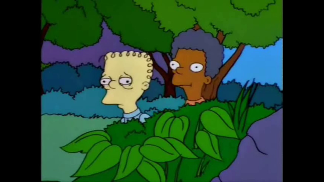 Milhouse es maricon!