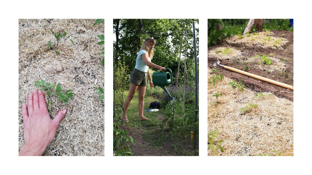 Vrt-Pot do prehranske neodvisnosti