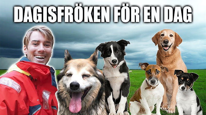 LEVER SOM HUNDDAGISFRÖKEN FÖR EN DAG.