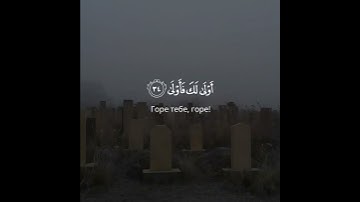 "أَوْلَىٰ لَكَ فَأَوْلَىٰٓ" تلاوة خاشعة لفضيلة الشيخ إدريس ابكر