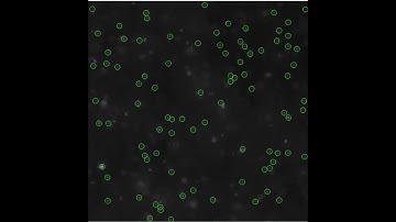 Tutorial for particle tracking