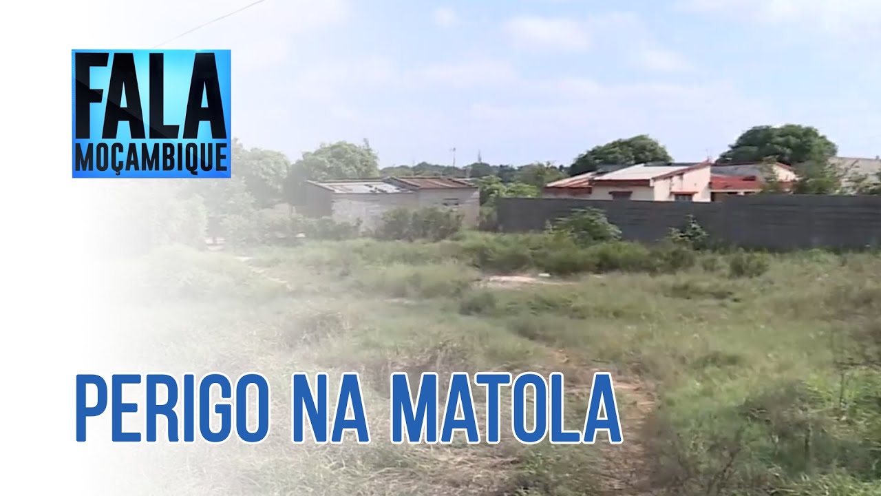 Cobras fazem vítimas num espaço abandonado na Machava Km-18