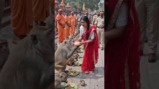 जय हनुमान#ज्ञान गुण सागर#main kam se#Devi#south video#