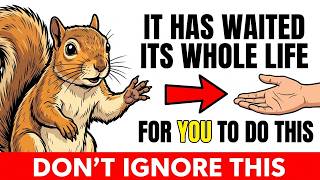The Squirrel in Your Yard Has Been Waiting Its WHOLE LIFE For You to Do THIS  Don't Make It Wait Any