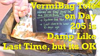 Still very damp VermiBag Tote w ENC worms checked on & fed again after only 10 days - vermicompost