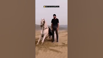 سبحان الخالق #تلاوة_خاشعة #قرآن #ياسر_الدوسري