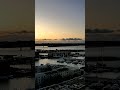 Auckland Viaduct Sunset · 20 May 2026 · 4K Live Cam #Shorts