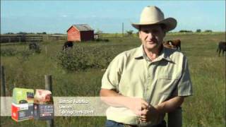 ORIJEN & ACANA: The Champion Petfoods Story